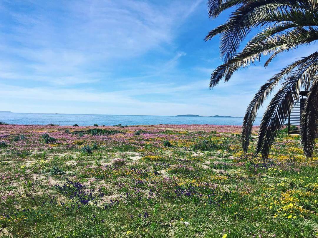 Affittacamere Al Mare Oristano Exterior foto